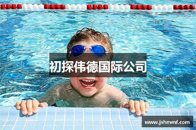 初探伟德国际公司